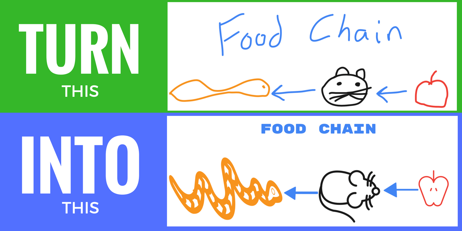 An Online Drawing Tool That Makes Everyone an Artist Biology Diagrams